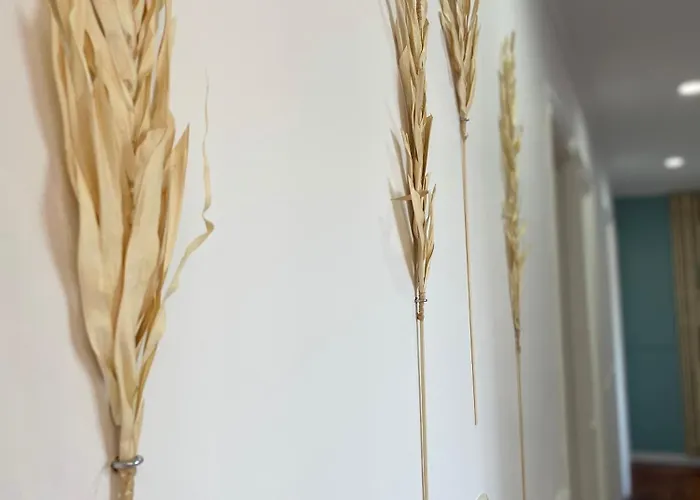 Amplio Piso Plaza America Βίγκο